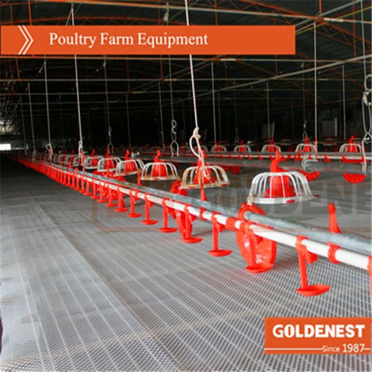 Complete Controlled Poultry Farm Equipment For Chicken House Complete Controlled Poultry Farm Equipment For Chicken House