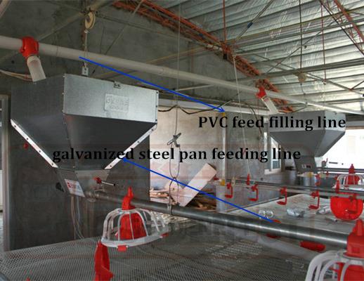 Complete Chicken Poultry Farming Equipment For Poultry House Complete Chicken Poultry Farming Equipment For Poultry House