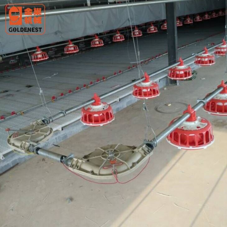 Female Breeder Laying Hens Chain Disc Pan Feeding Line